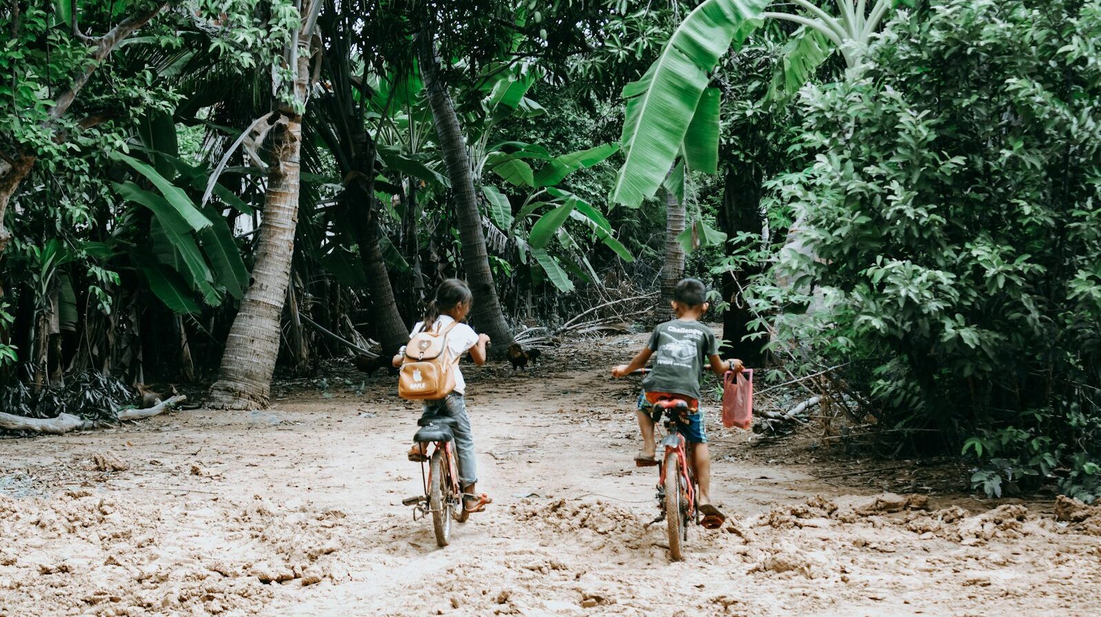 two person riding on bicycle during daytime
